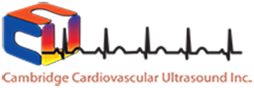 cardiacecho2